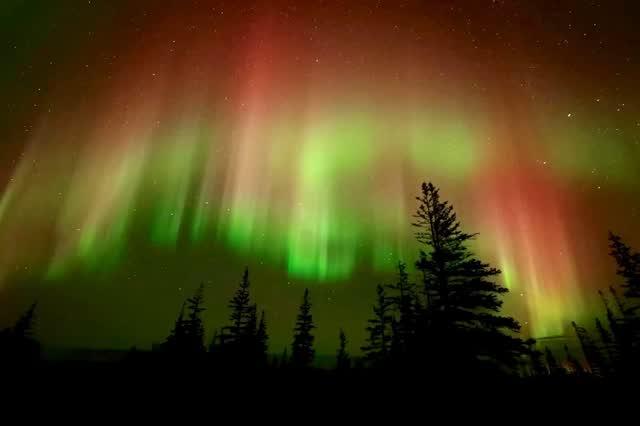 The Northern Lights Deception: A Descent into Lonely Echoes 