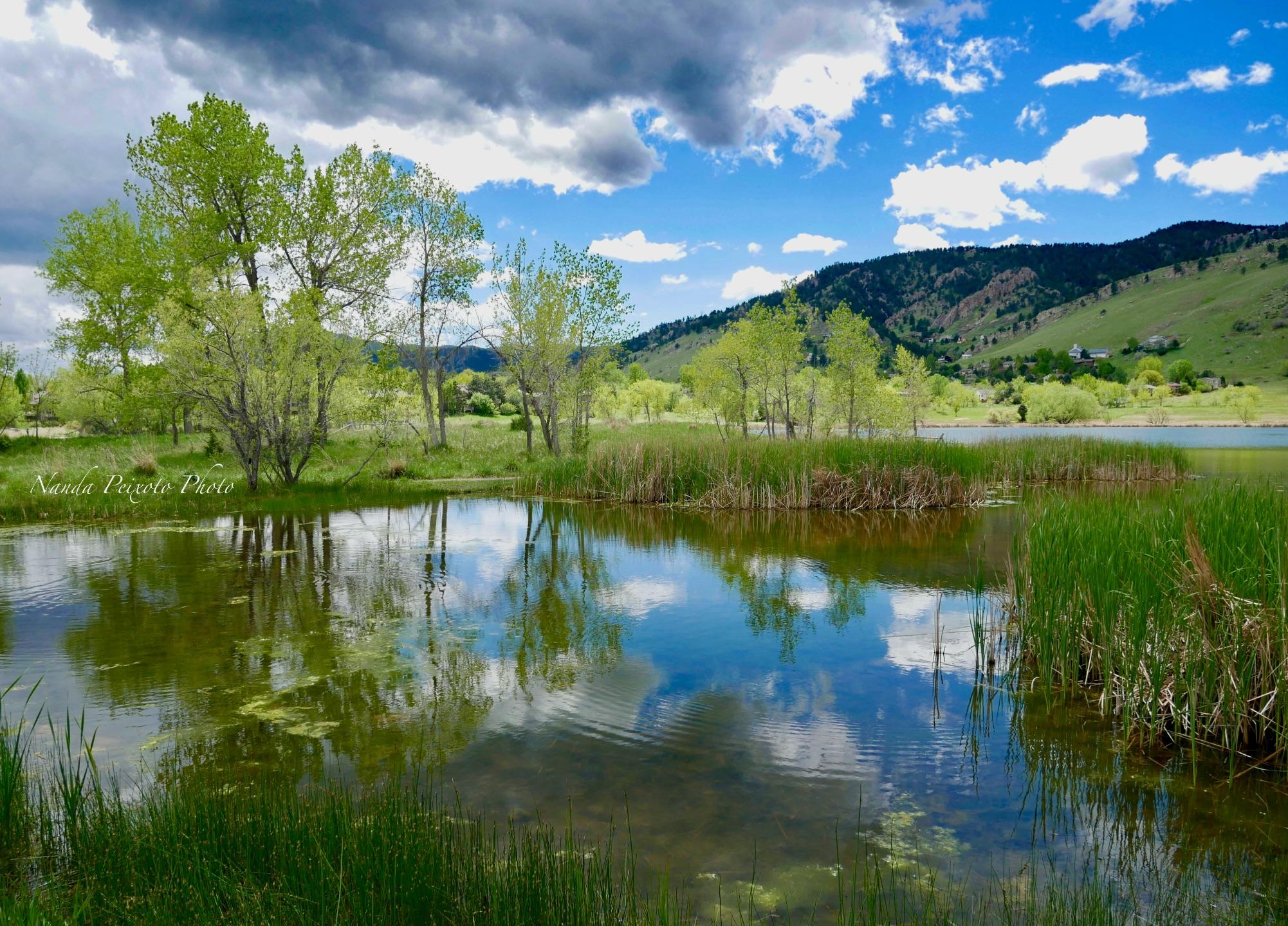 The Sabri Scourge: A Colorado Reckoning