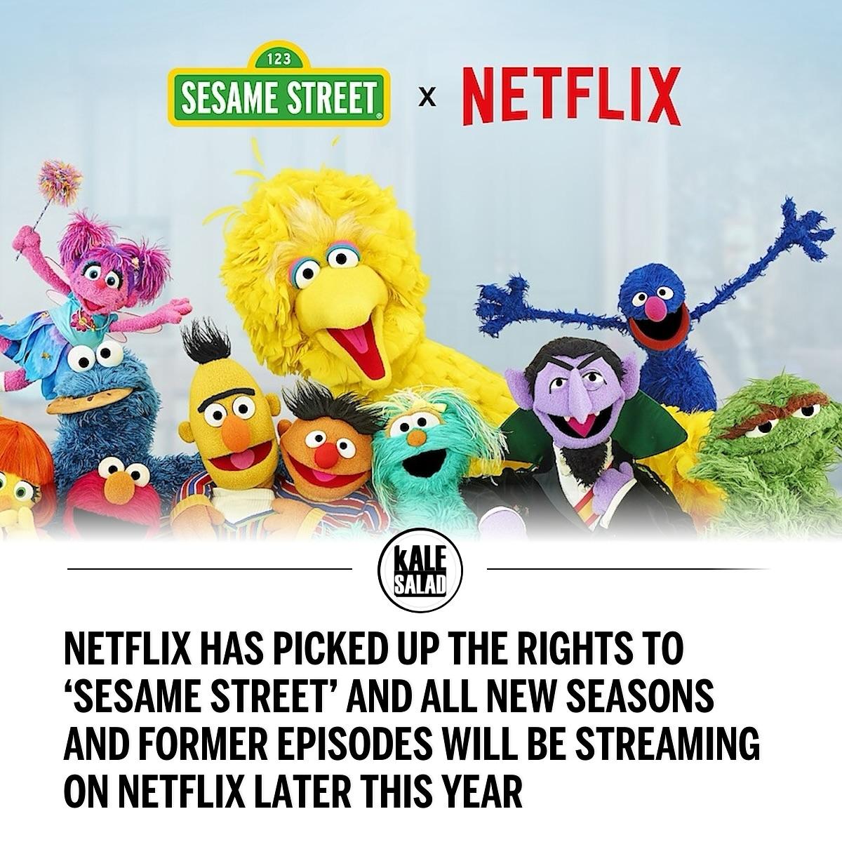 Sesame Street: A Calculated Gamble – And What It REALLY Means…