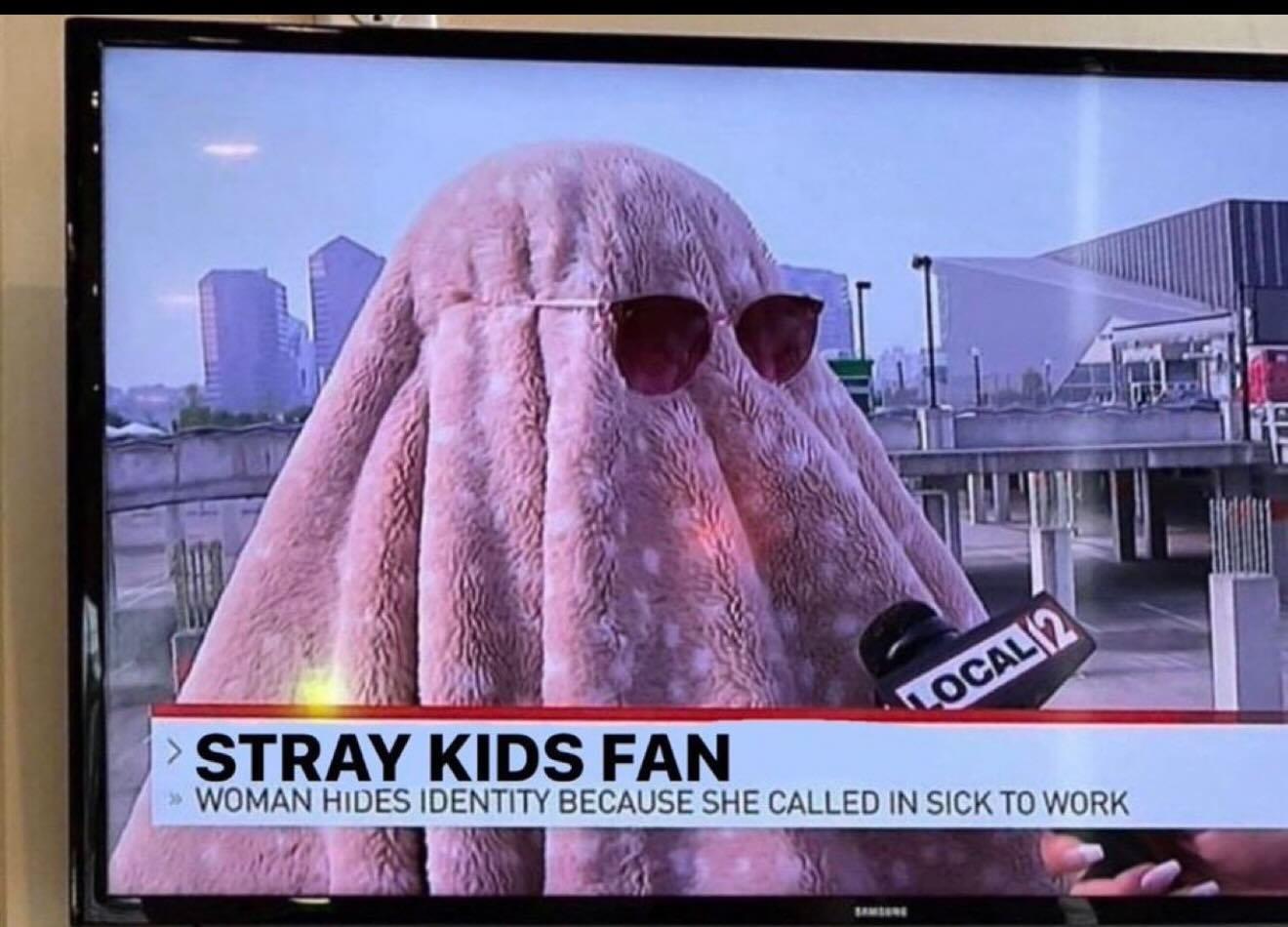 SHOCKING: Stray Kids SoFi Stadium Reignited - A Cult Following, Obsession, and the Dark Side of Fandom 