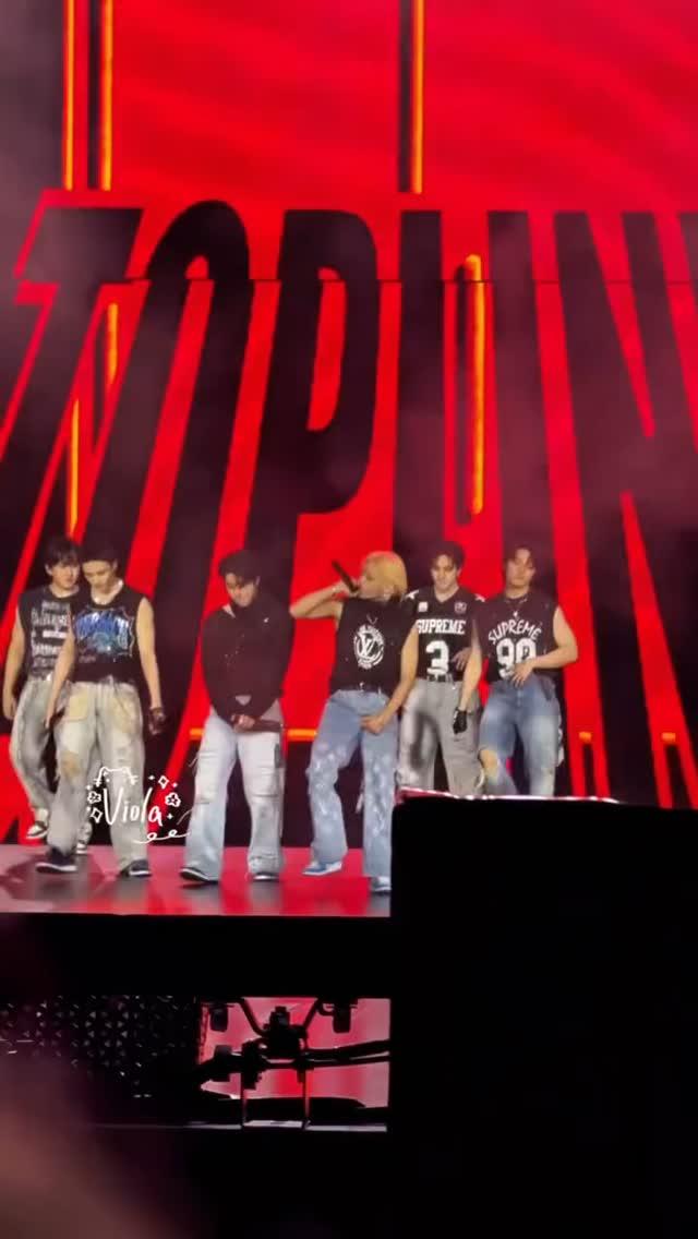 The Fractured Symphony: A Stray Kids Stay Divided