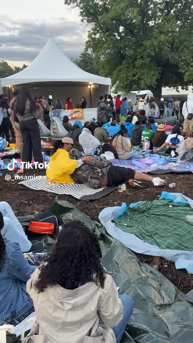 The Roots Picnic: A Calculated Catastrophe – Or Just the Price of ‘Experience?