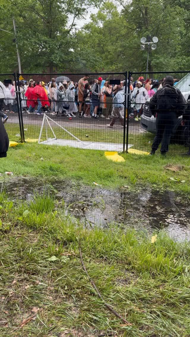 DISASTER AT THE ROOTS: A SHOCKING TRUTH REVEALED…