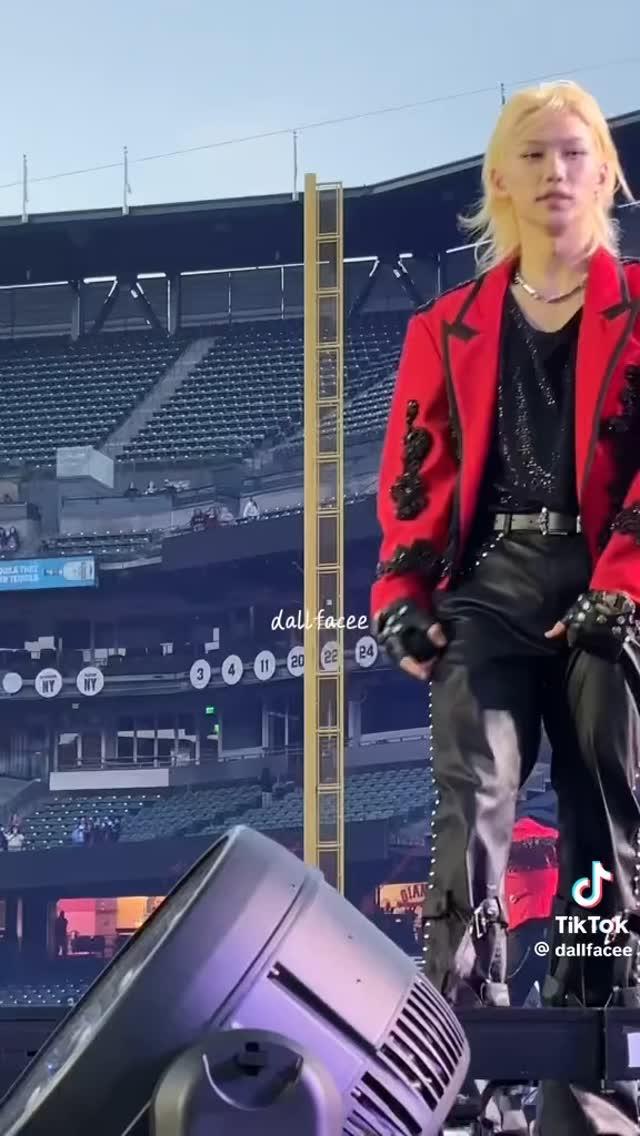 The Fractured Symphony: A Stray Kids Stay Divided