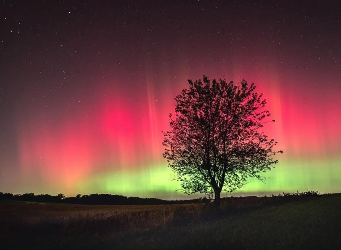 Northern Lights: A Dangerous Obsession