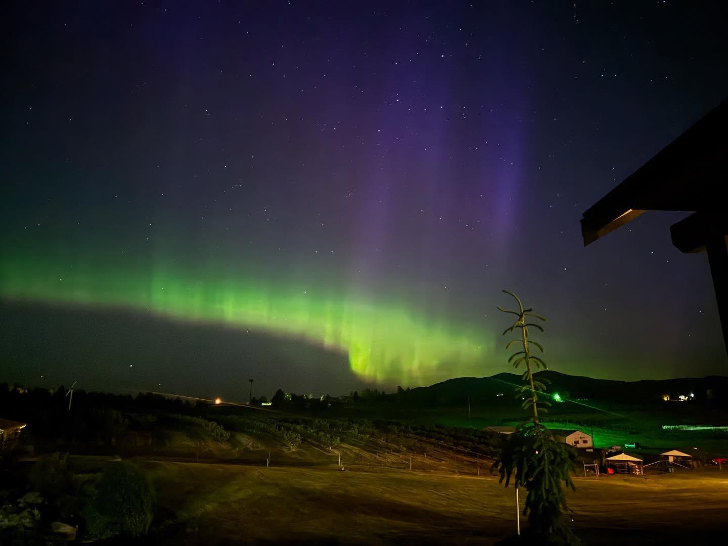 The Shifting Veils of Aurora: A Warning