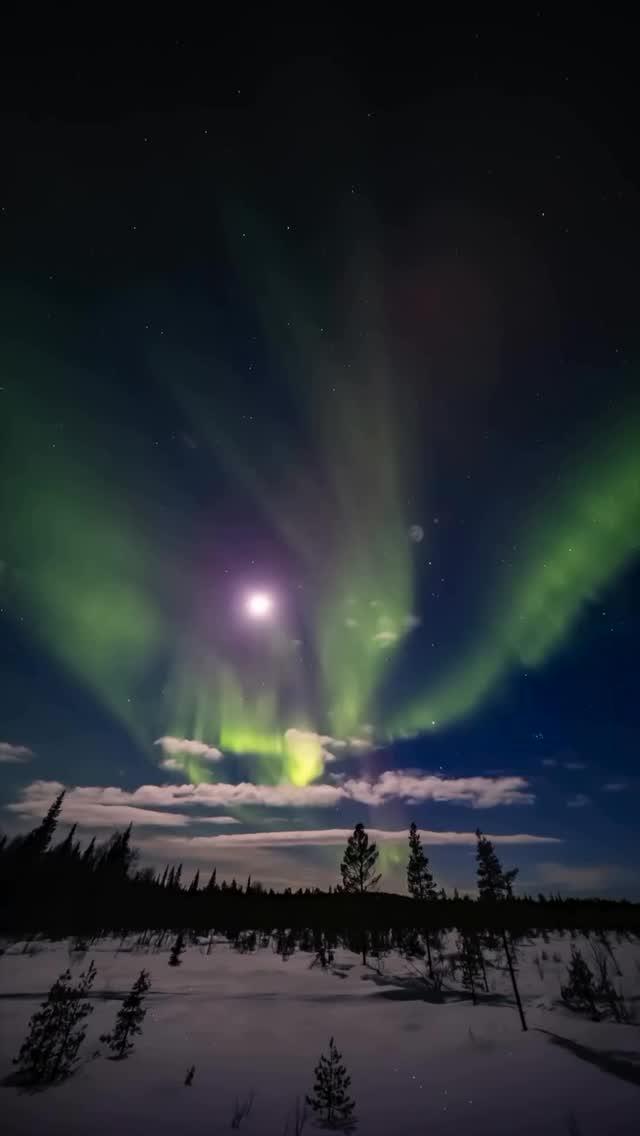 The Aurora Deception: Are You Being Played?… find out more!