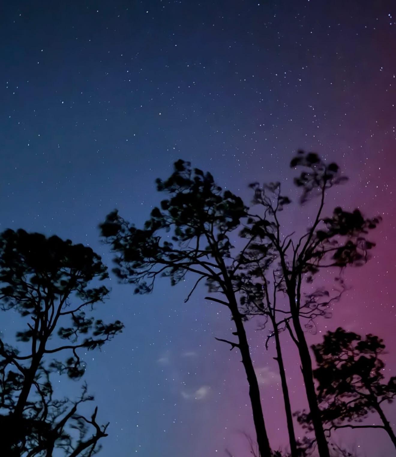 SHOCKING: The Northern Lights Obsession – A Cult?… See More!