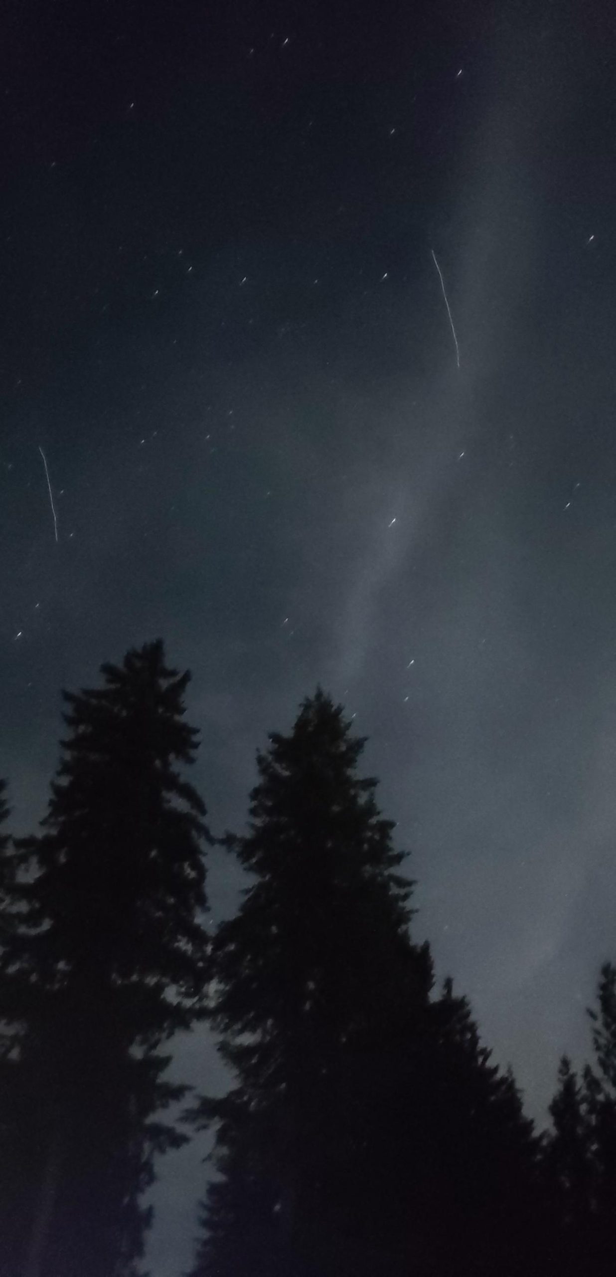 The Shifting Veil of Northern Lights: A Chronicle of Obsession