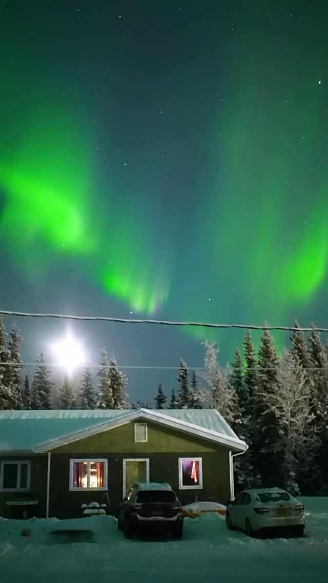 Northern Lights: A Lonely Obsession – Find Out More!…Discover Now!