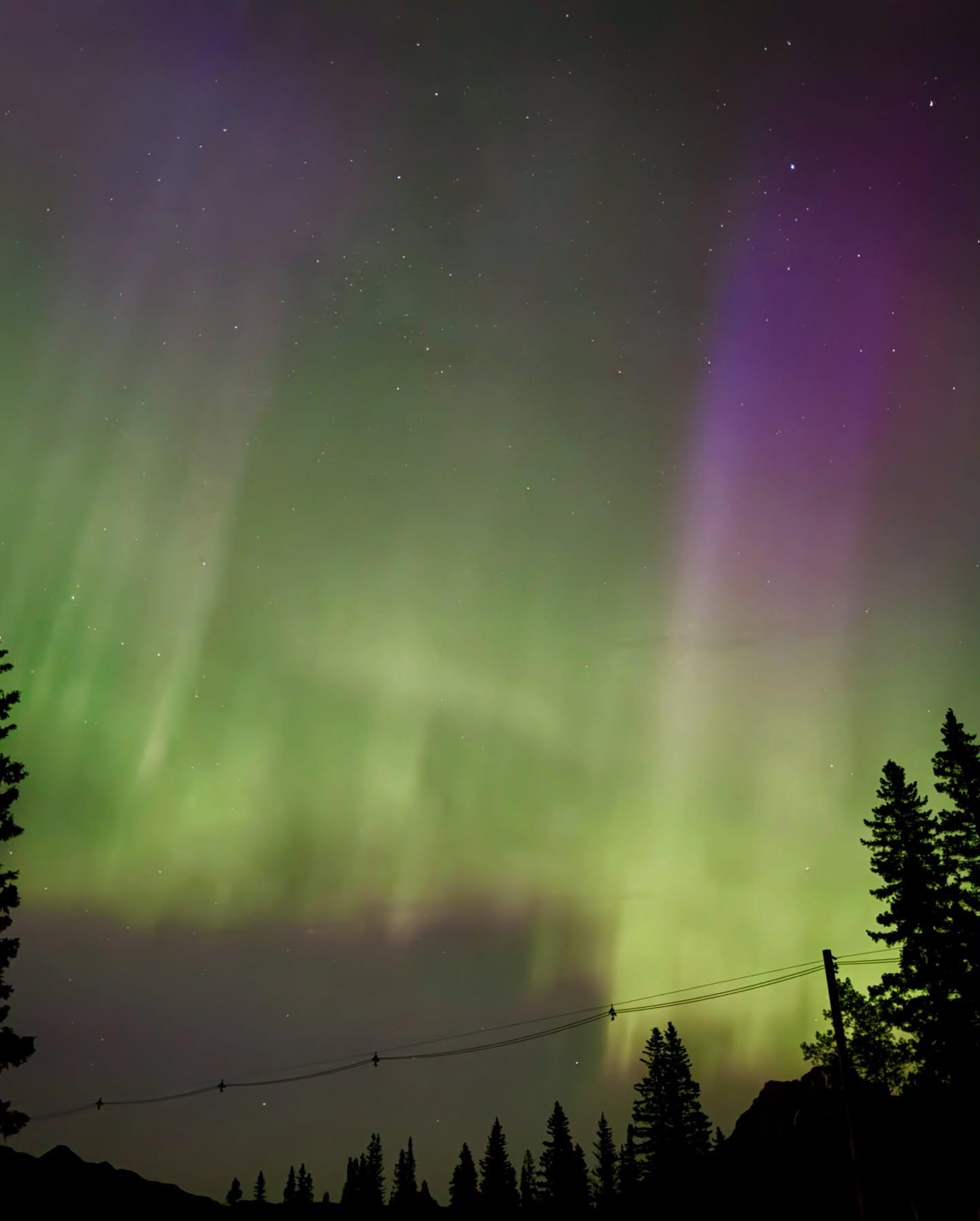 The Heart of the Aurora: A Chase for Connection