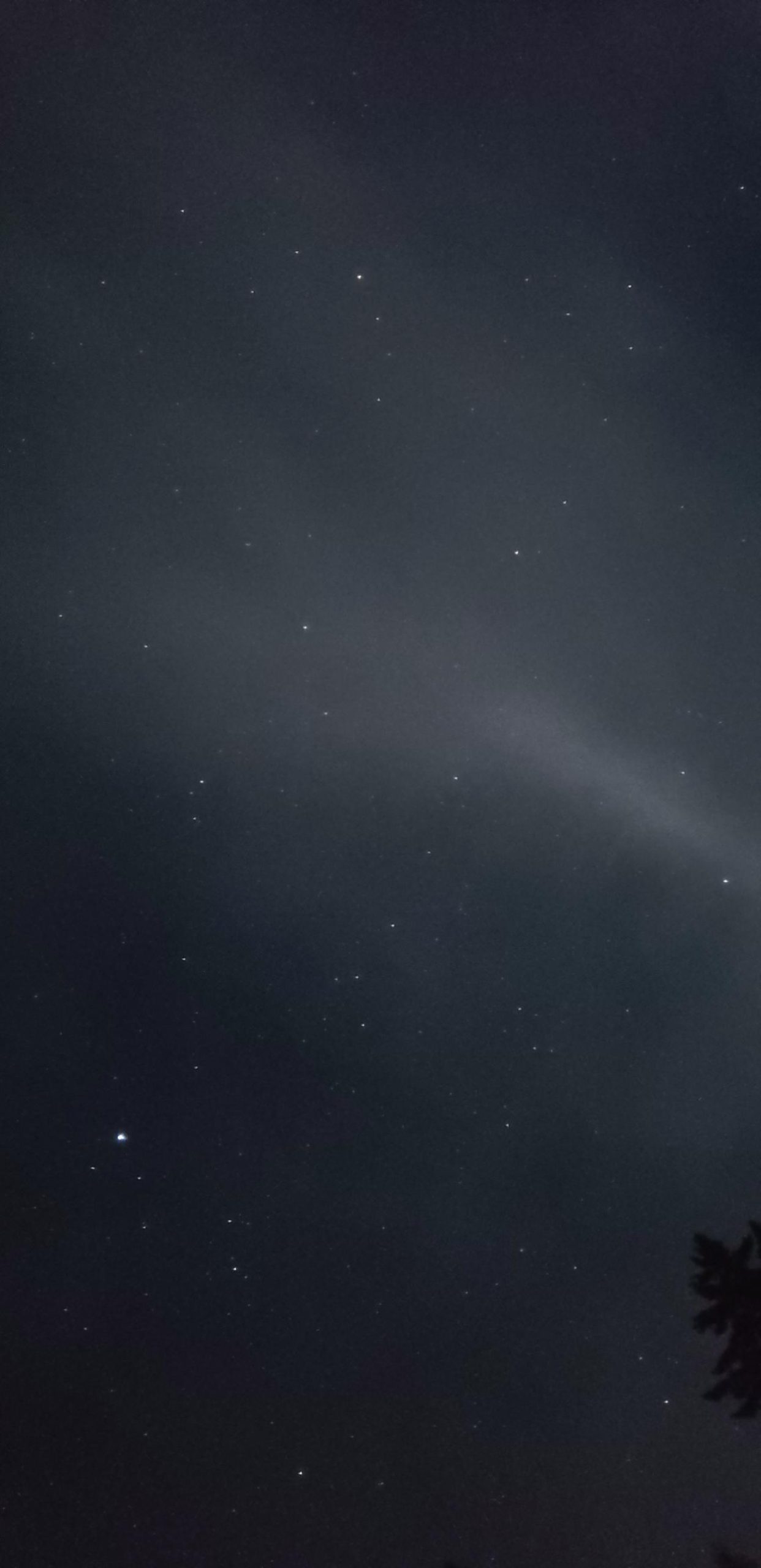 The Shifting Veil of Northern Lights: A Chronicle of Obsession