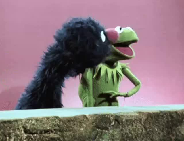 The Muppet Gambit: A Nation Divided at the Street